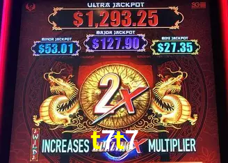 t7t7 Rio de Janeiro - Professional Dealers